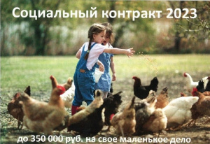СОЦИАЛЬНЫЙ КОНТРАКТ