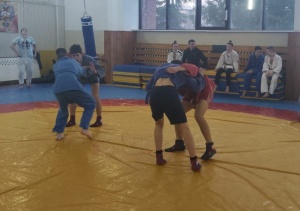 ДЕНЬ БОРЬБЫ В РАМКАХ "ДЕКАДЫ СПОРТА"!